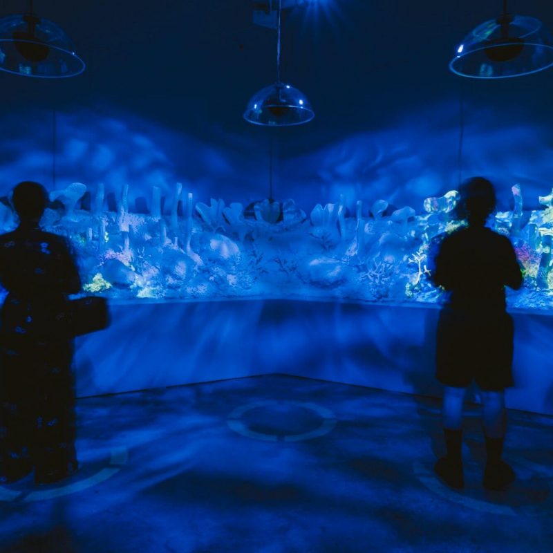 Undercurrent 2021